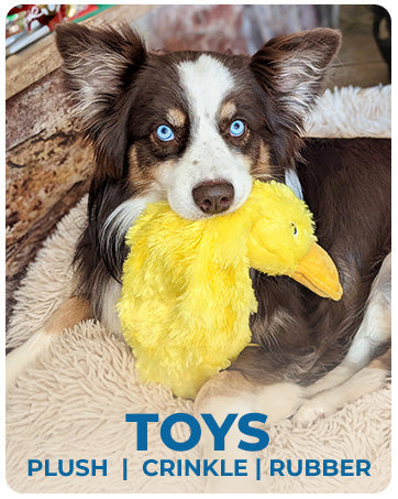 No-Mess Duck Toy