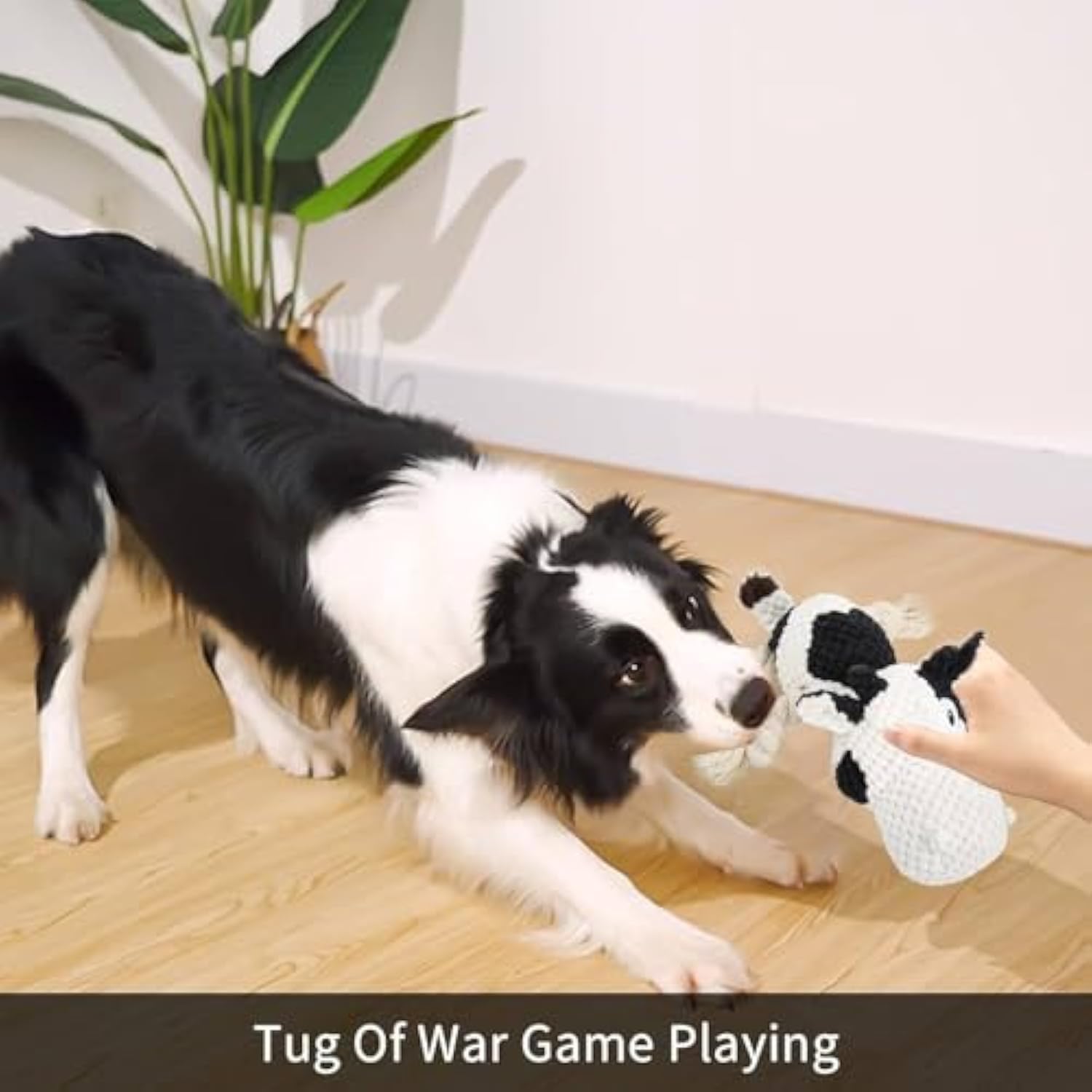 Plush Cow Toy – Durable & Soft