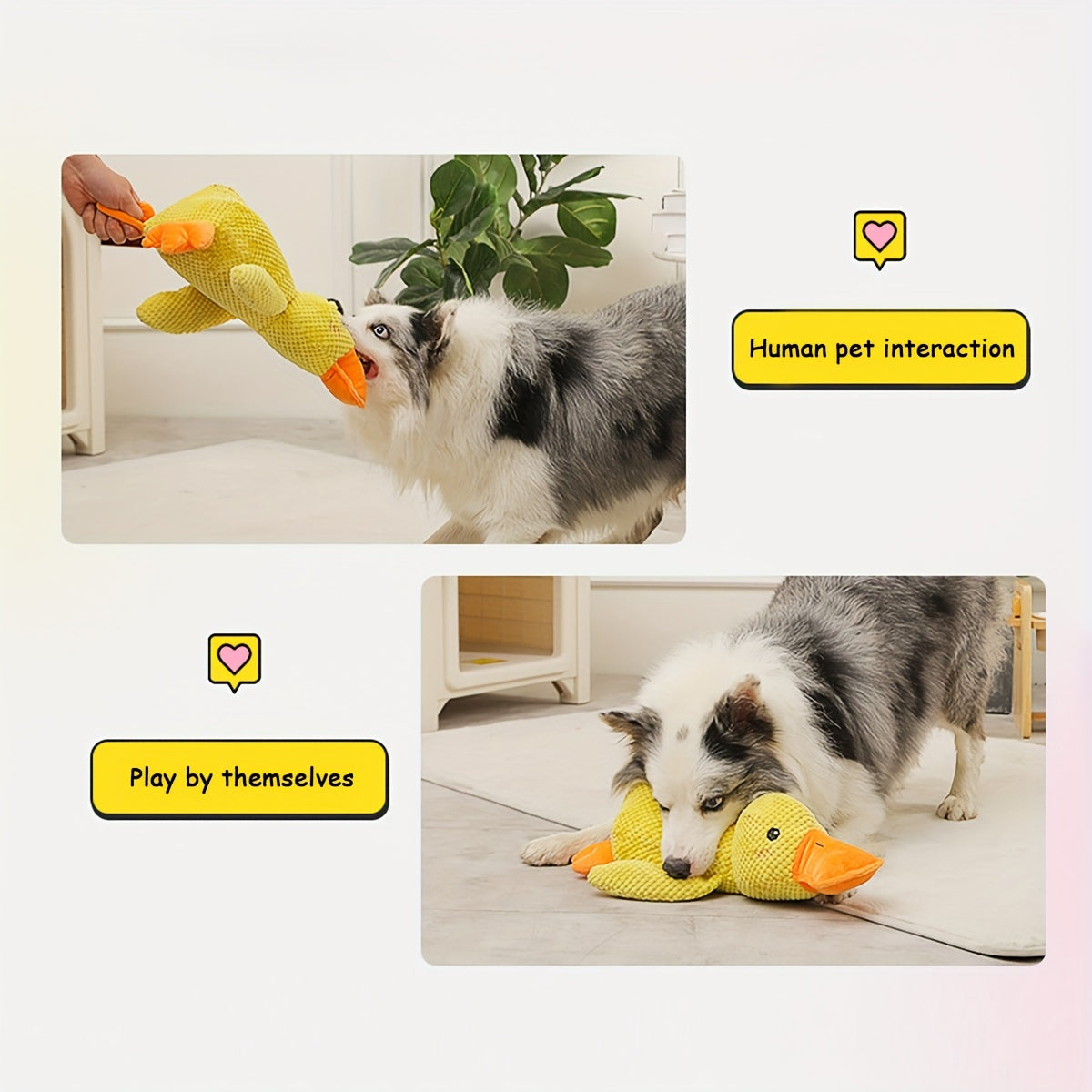 No-Mess Duck Toy