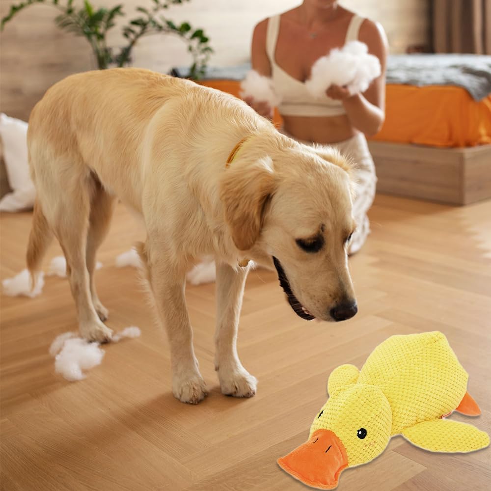No-Mess Duck Toy